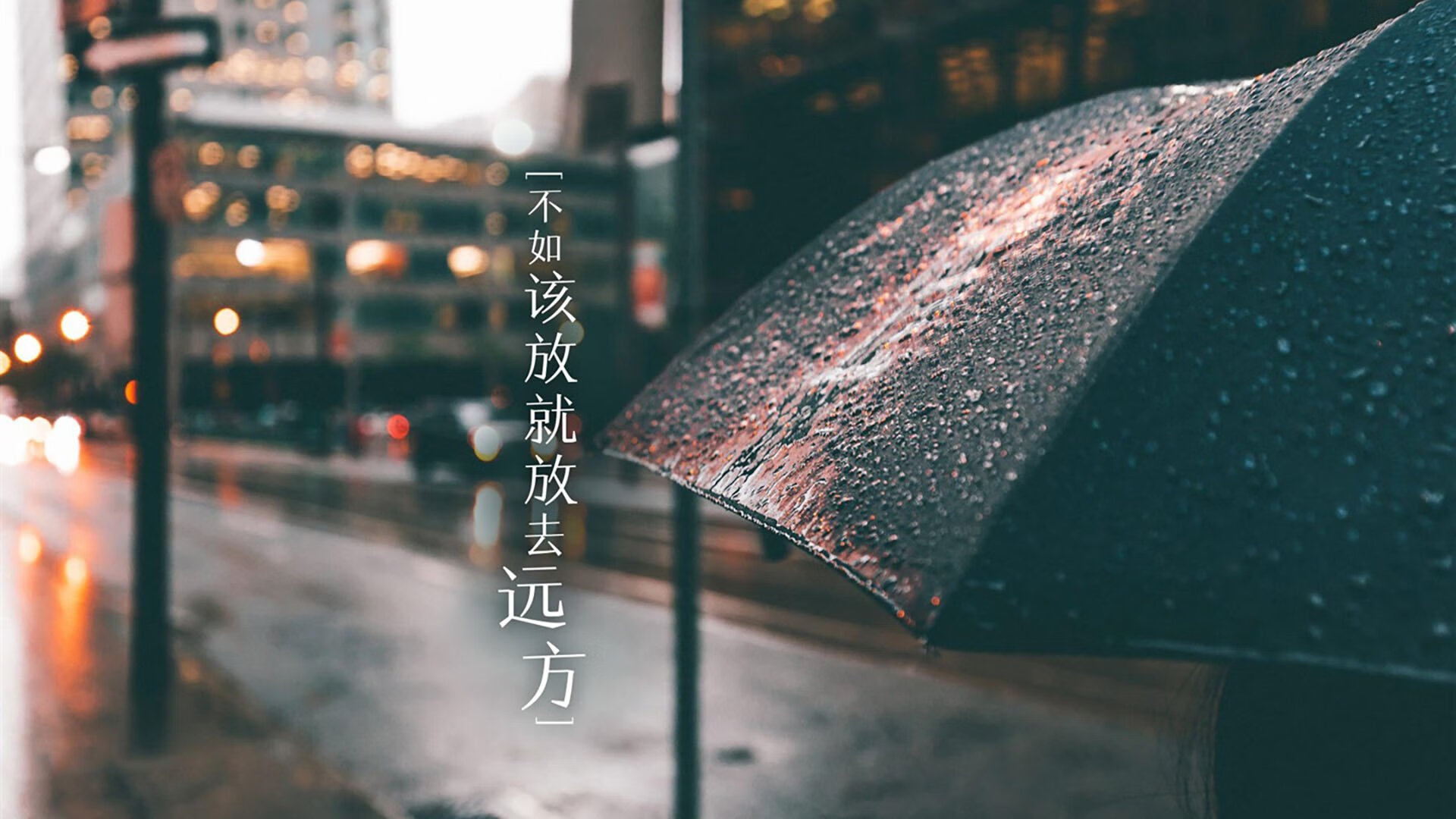 英超青训计划引入数字化情境模拟提升战术意识建立，英超球队训练基地