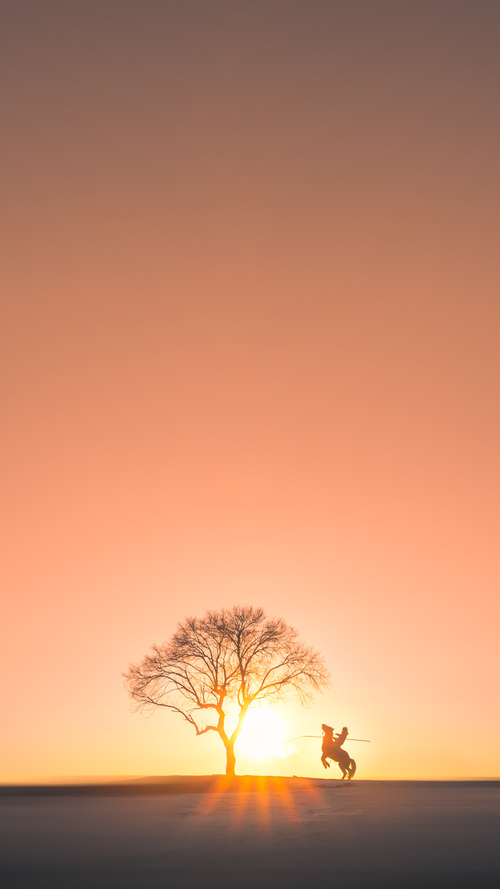 东亚杯中国足球冲击 球员状态成为焦点,东亚杯中国队